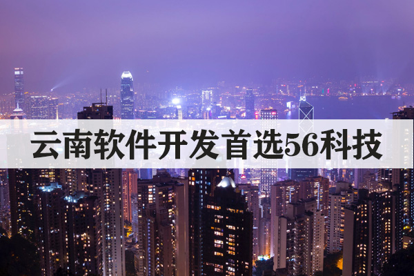 昆明開發(fā)軟件怎么收費(fèi)